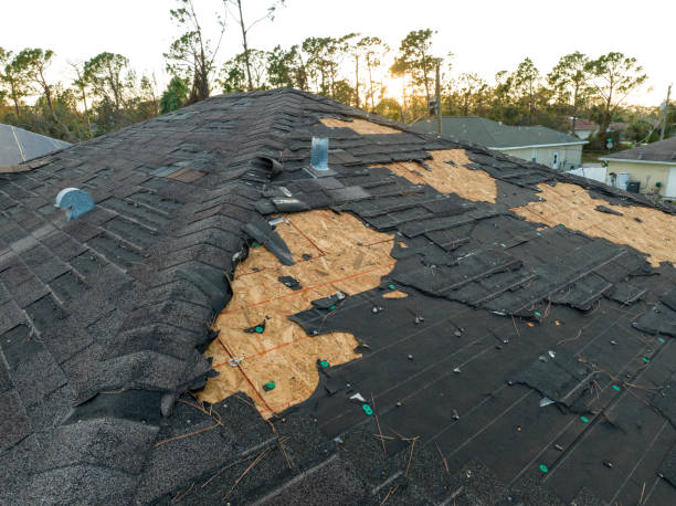 Roof Insulation Installation